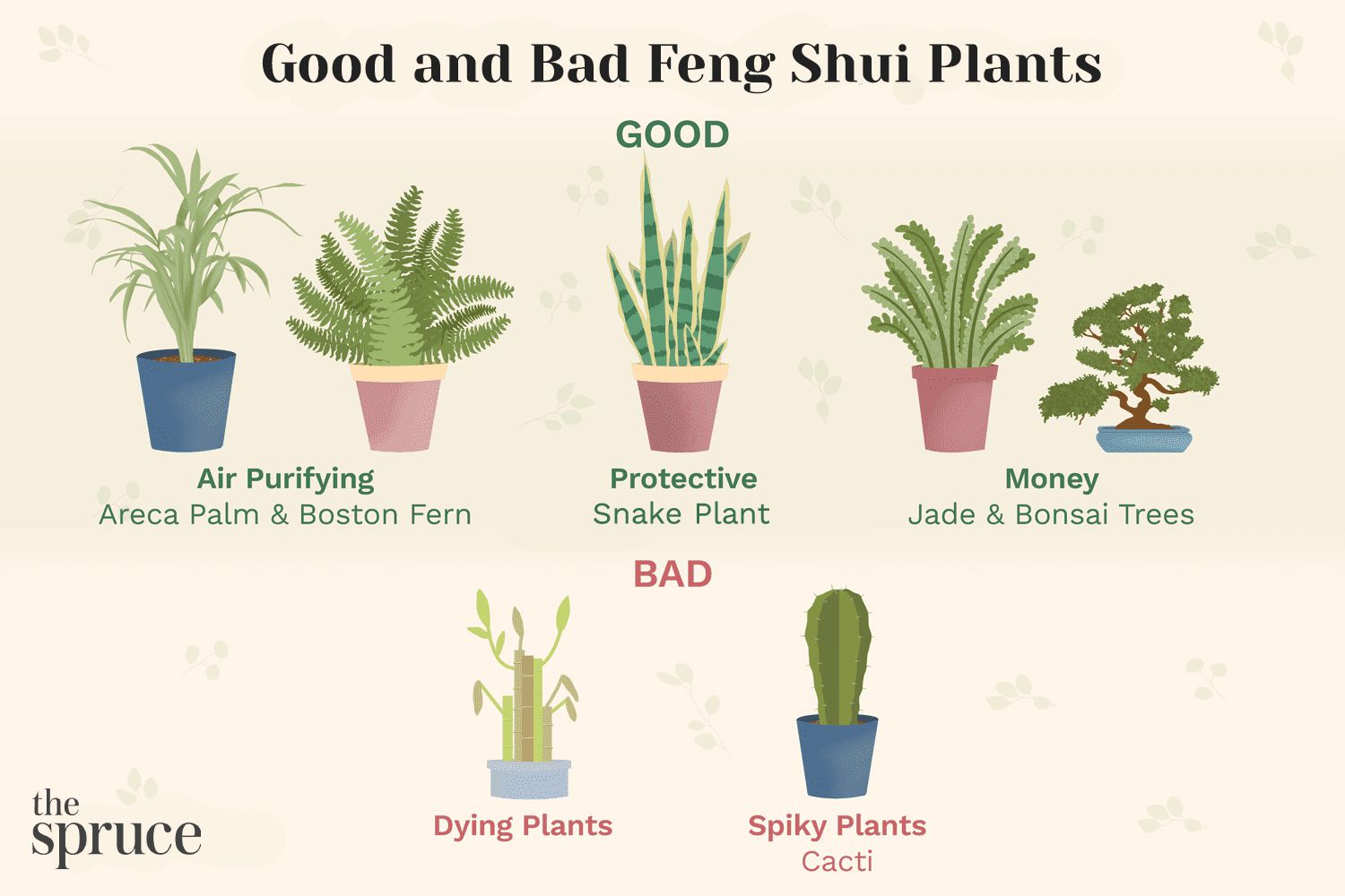 The 15 Most interesting Feng Shui Vegetation to Use In Your Dwelling